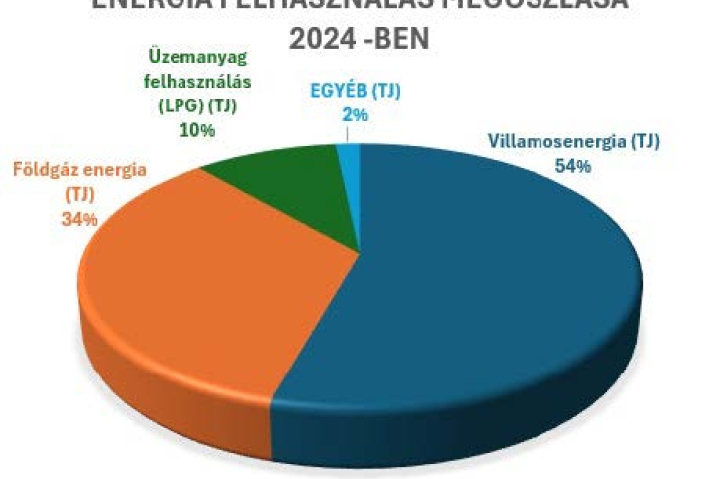 ÉVES ENERGETIKAI SZAKREFERENSI RIPORT 2024